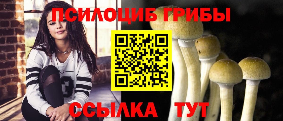 Псилоцибиновые грибы GOLDEN TEACHER Надым