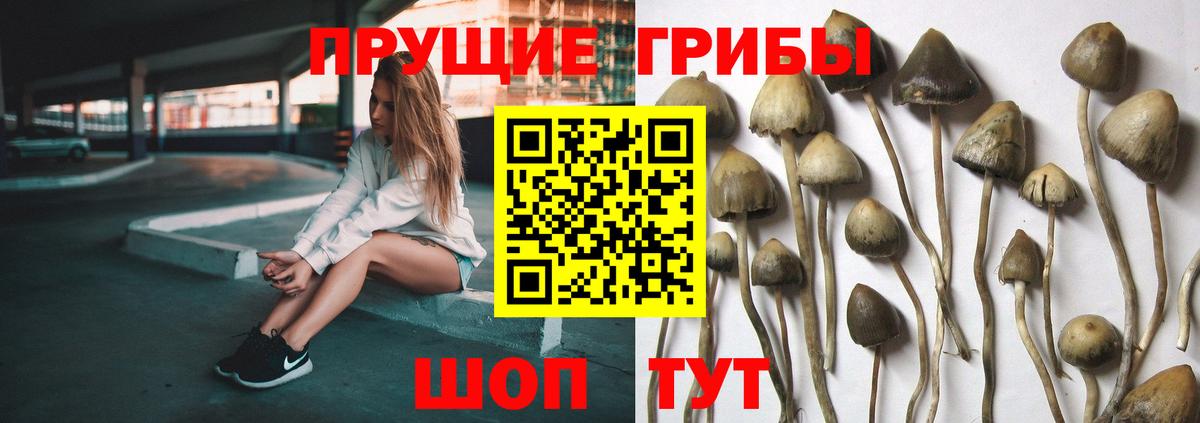 Надым  Псилоцибиновые грибы GOLDEN TEACHER  Вход с VPN 